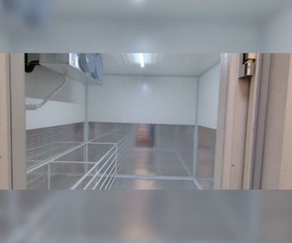 Congelación Image3